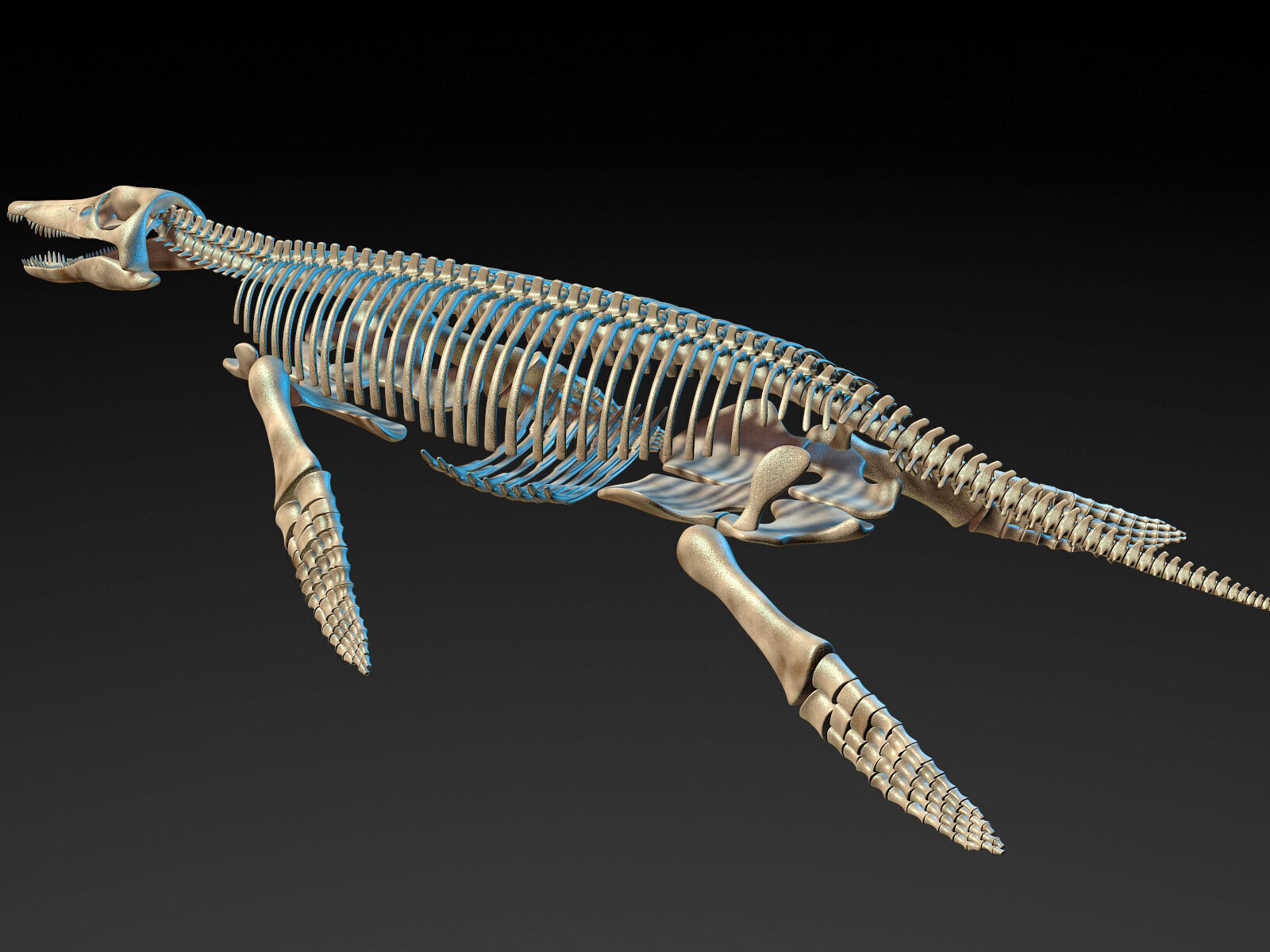 20 in1 Dino skeleton Collection model 3D model_146