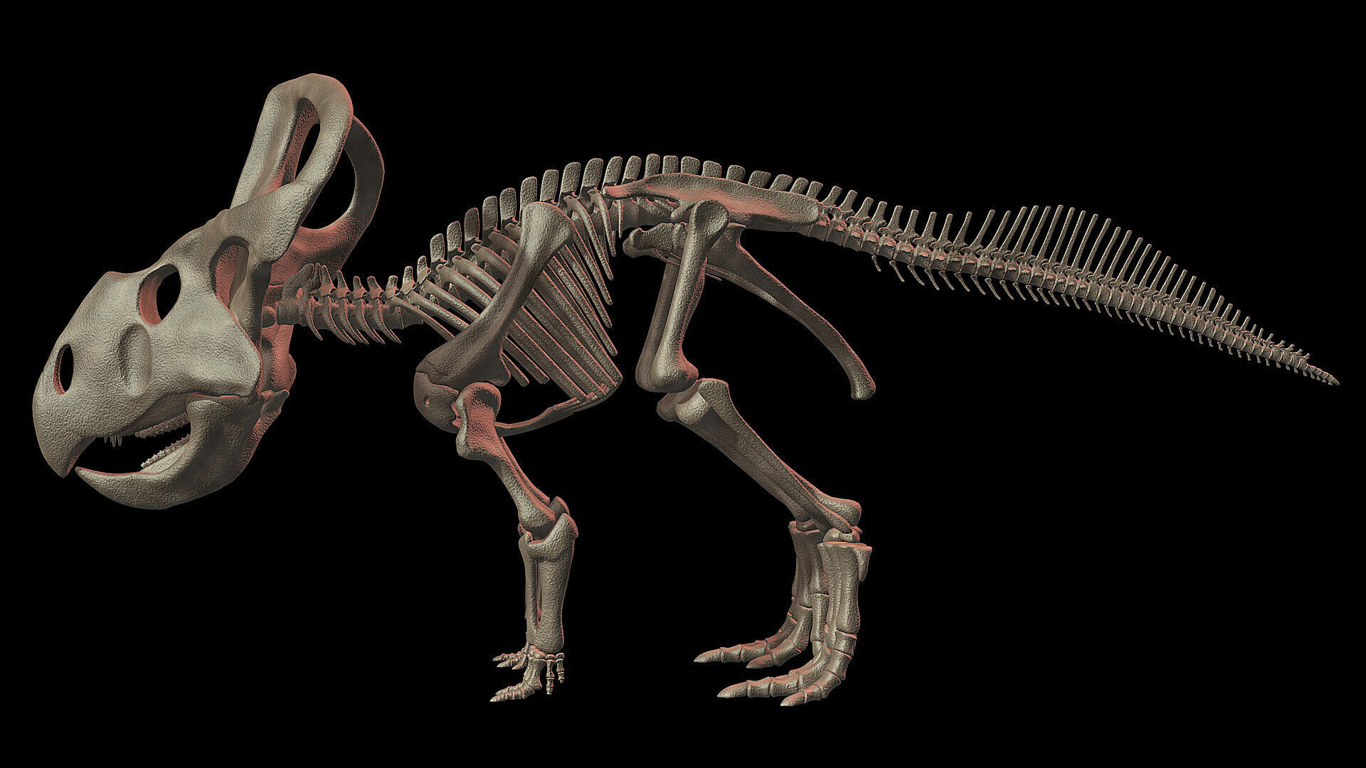 20 in1 Dino skeleton Collection model 3D model_136
