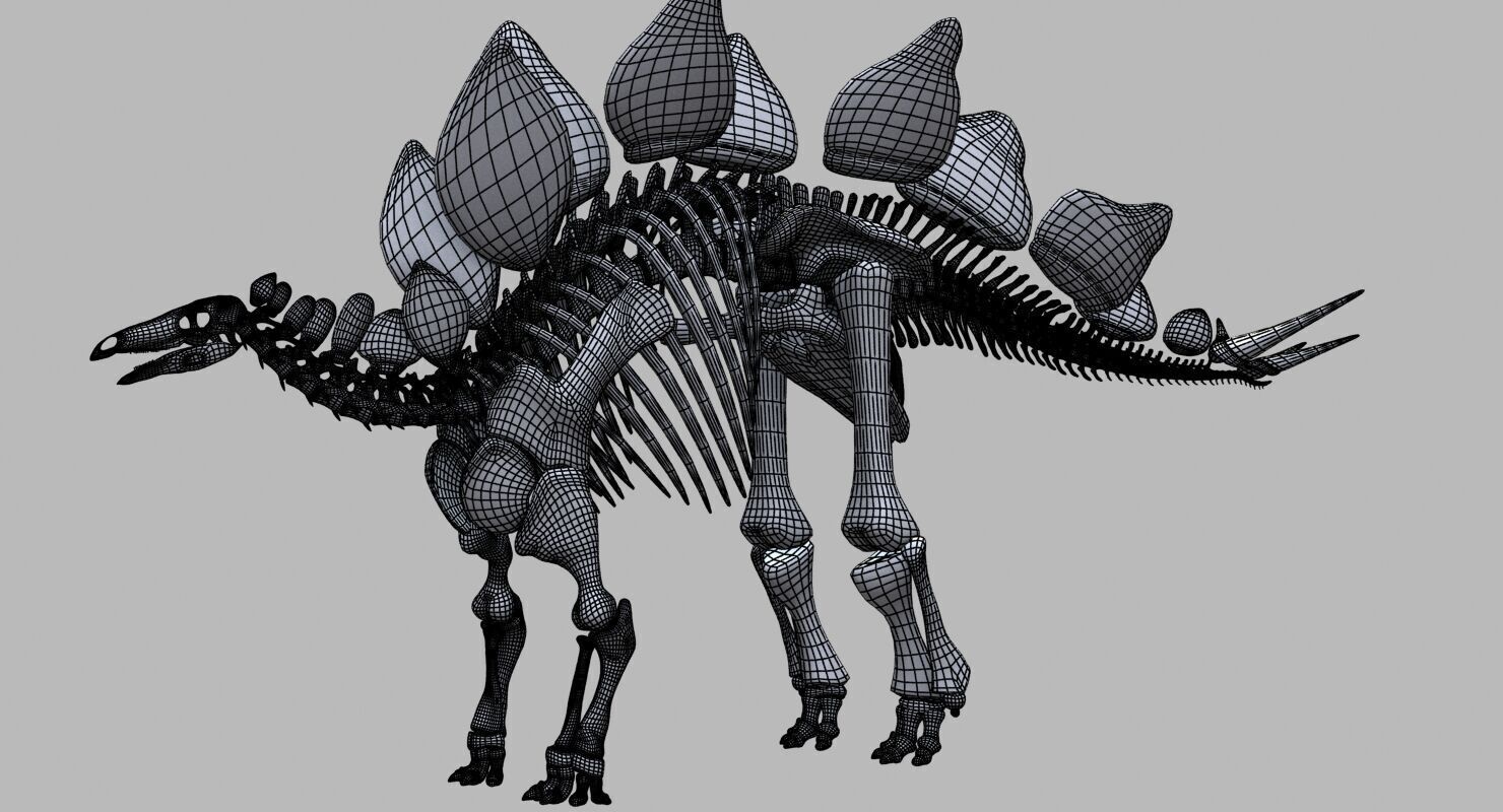 20 in1 Dino skeleton Collection model 3D model_11