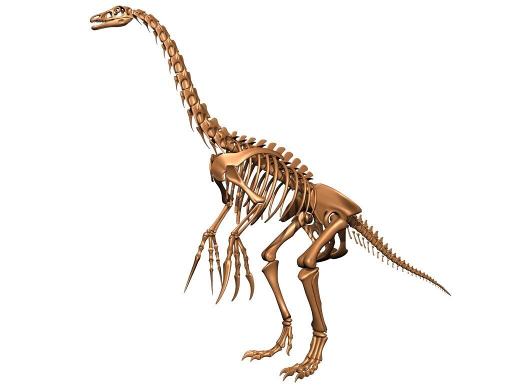 20 in1 Dino skeleton Collection model 3D model_7