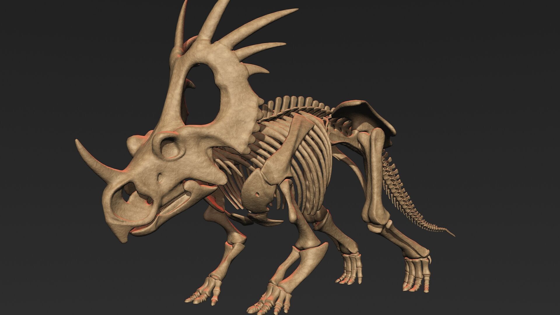 20 in1 Dino skeleton Collection model 3D model_121