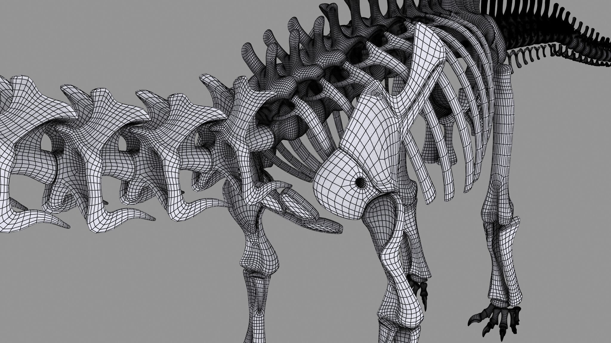 20 in1 Dino skeleton Collection model 3D model_135