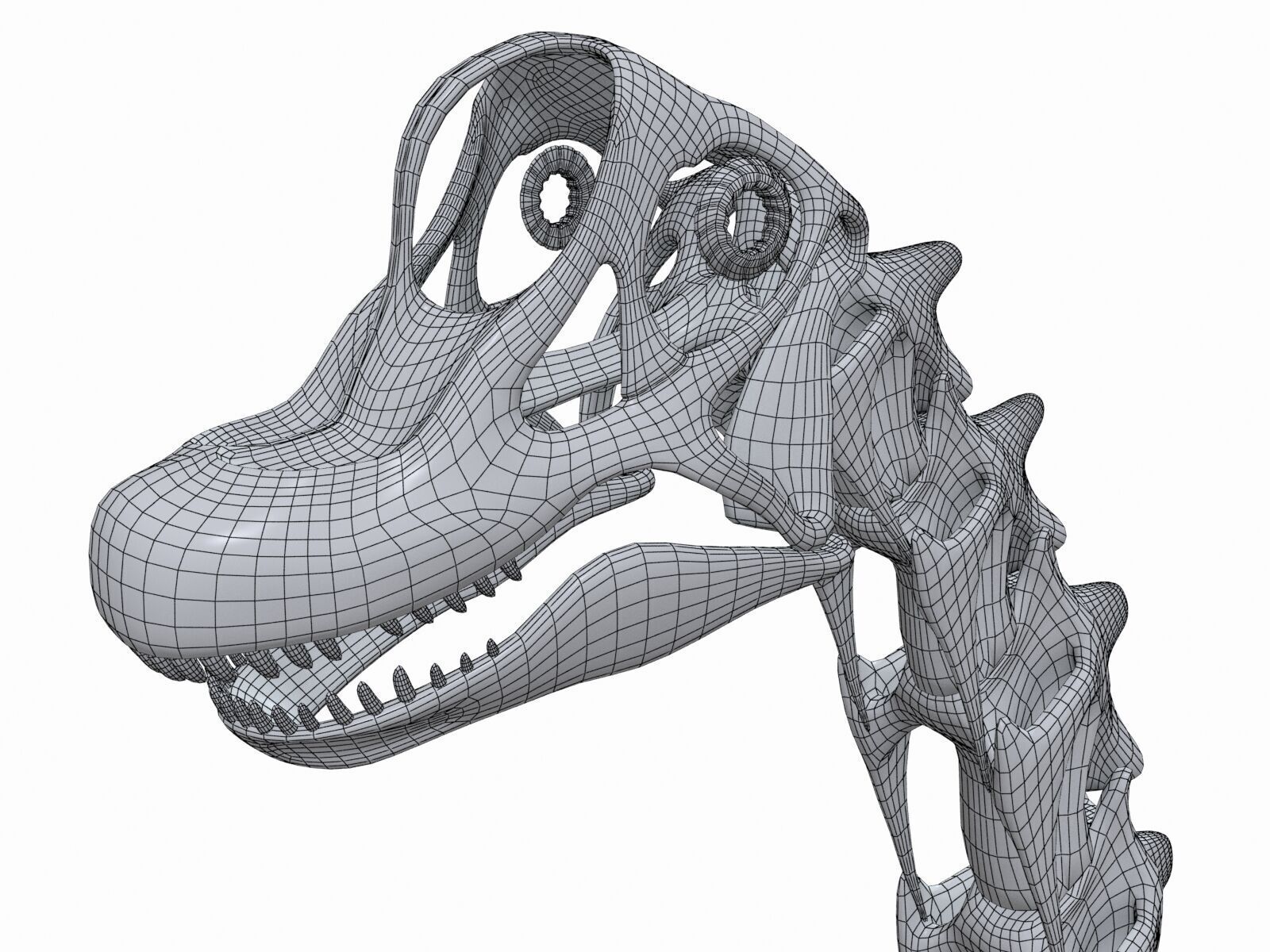 20 in1 Dino skeleton Collection model 3D model_43