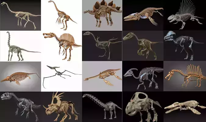 20 in1 Dino skeleton Collection model 3D model