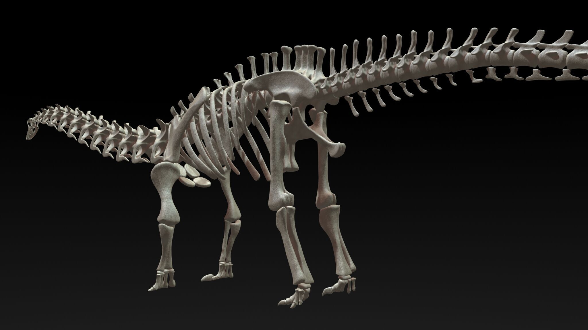 20 in1 Dino skeleton Collection model 3D model_130