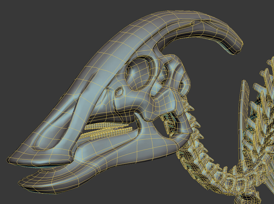 20 in1 Dino skeleton Collection model 3D model_106