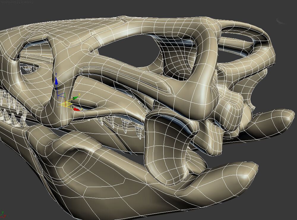20 in1 Dino skeleton Collection model 3D model_29