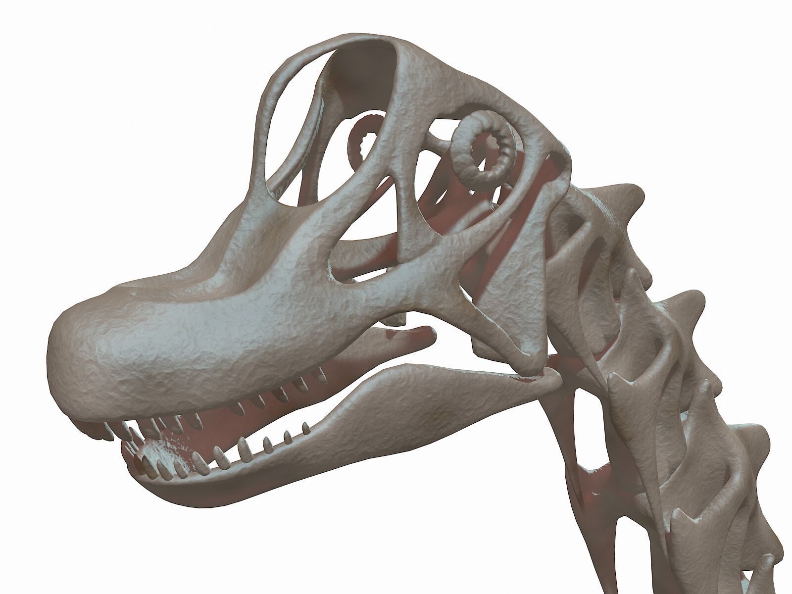 20 in1 Dino skeleton Collection model 3D model_45