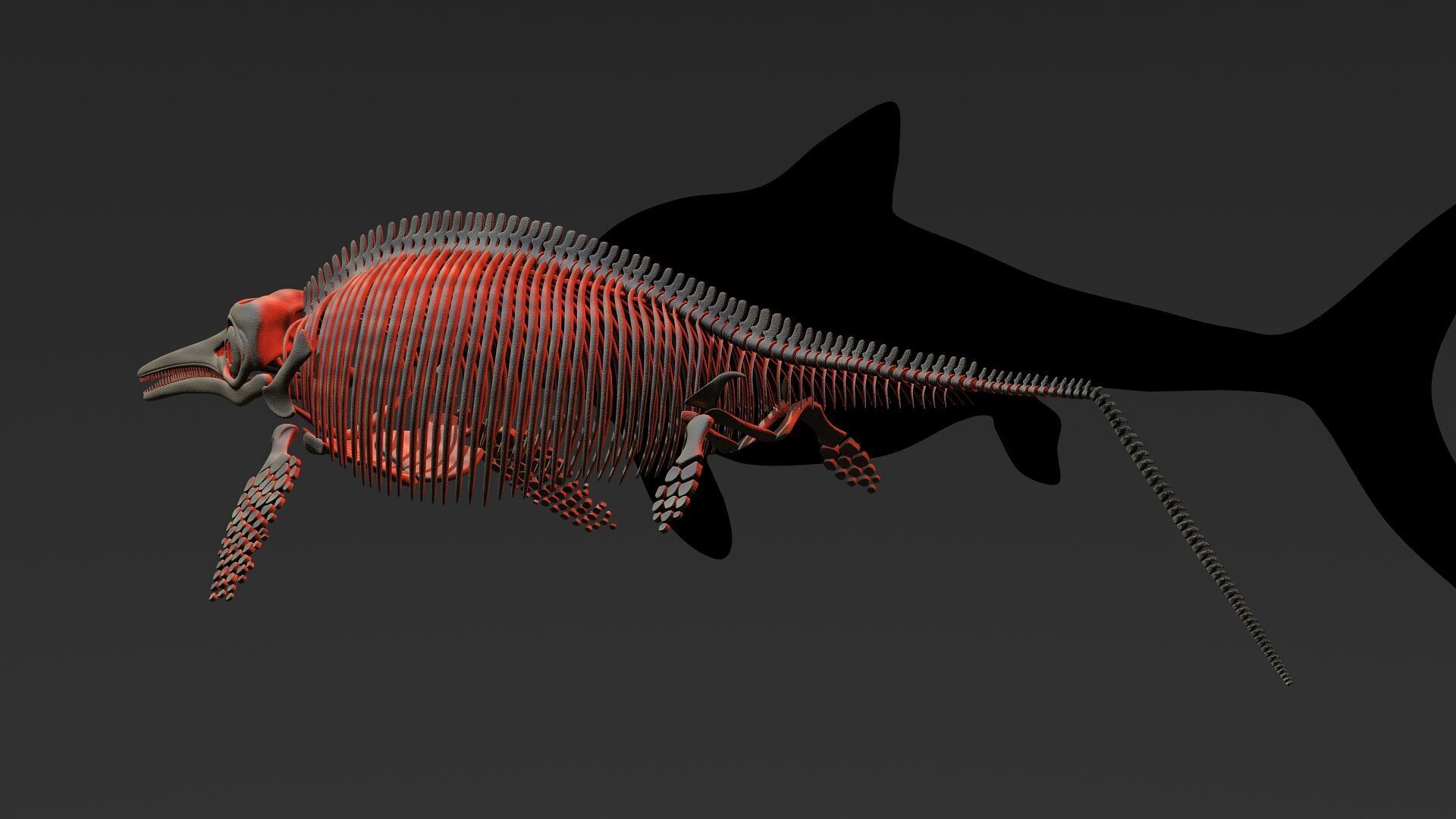 20 in1 Dino skeleton Collection model 3D model_78