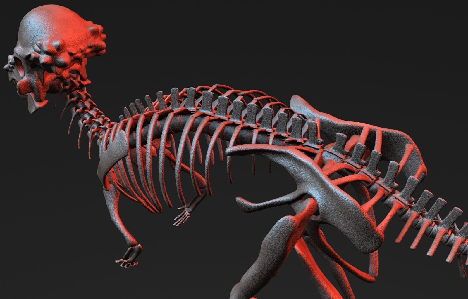 20 in1 Dino skeleton Collection model 3D model_71