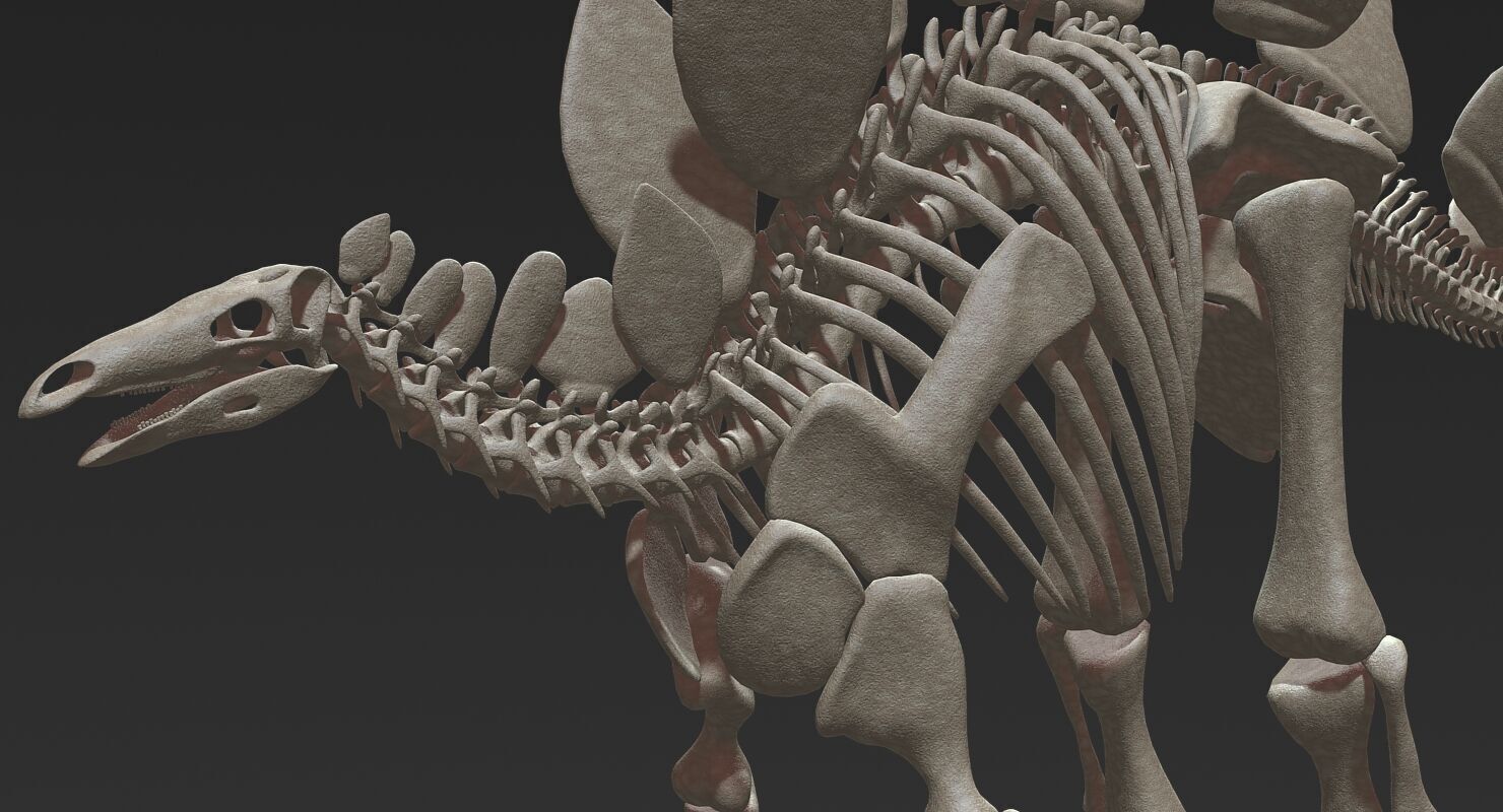 20 in1 Dino skeleton Collection model 3D model_13
