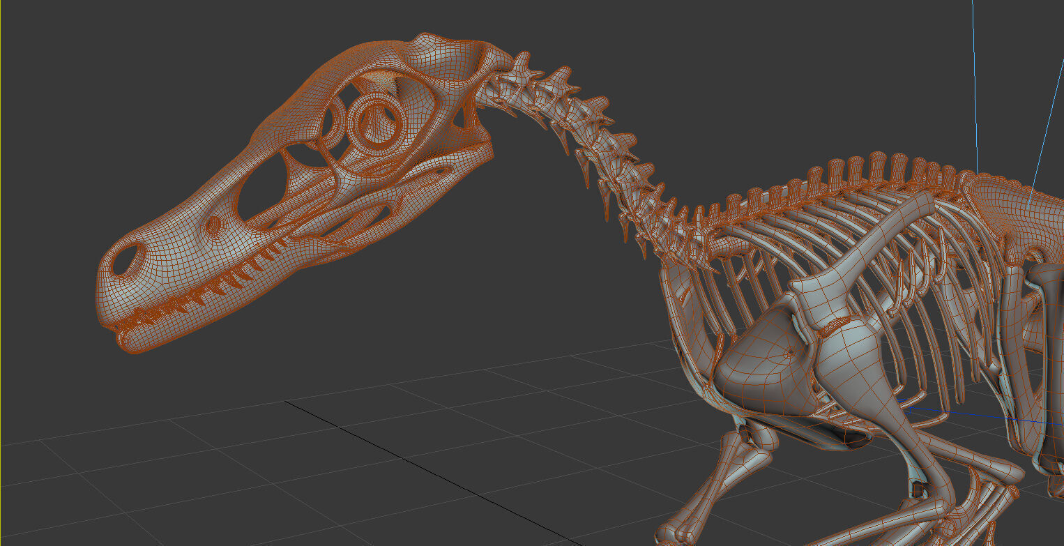 20 in1 Dino skeleton Collection model 3D model_65