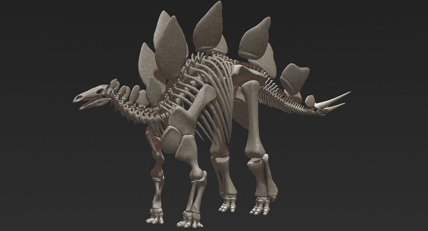 20 in1 Dino skeleton Collection model 3D model_14