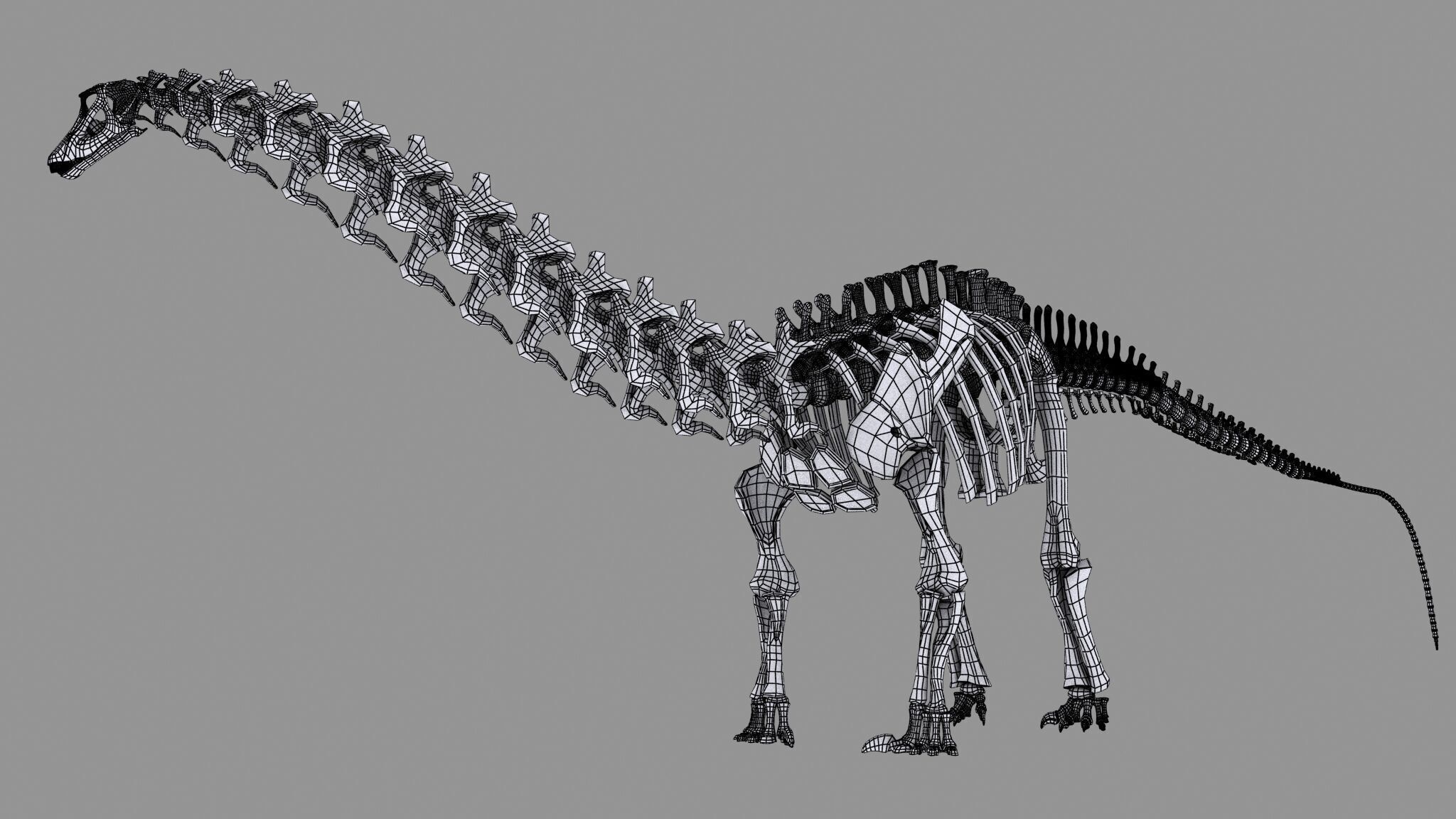 20 in1 Dino skeleton Collection model 3D model_134