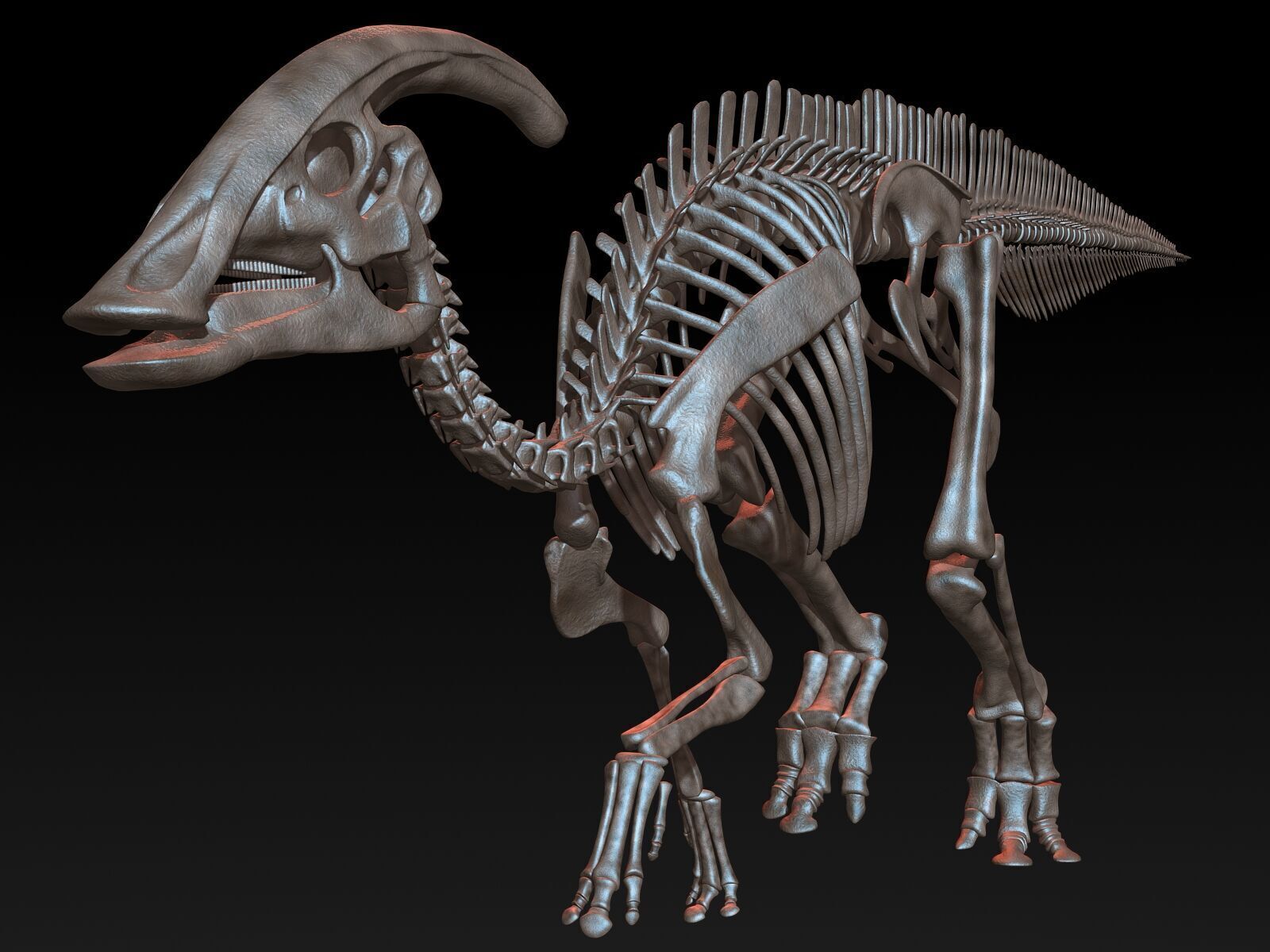 20 in1 Dino skeleton Collection model 3D model_105