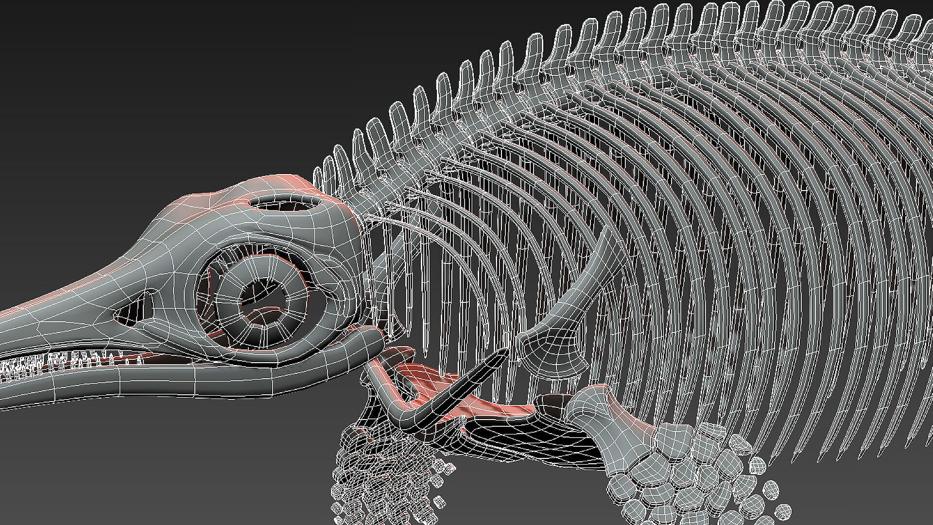 20 in1 Dino skeleton Collection model 3D model_79
