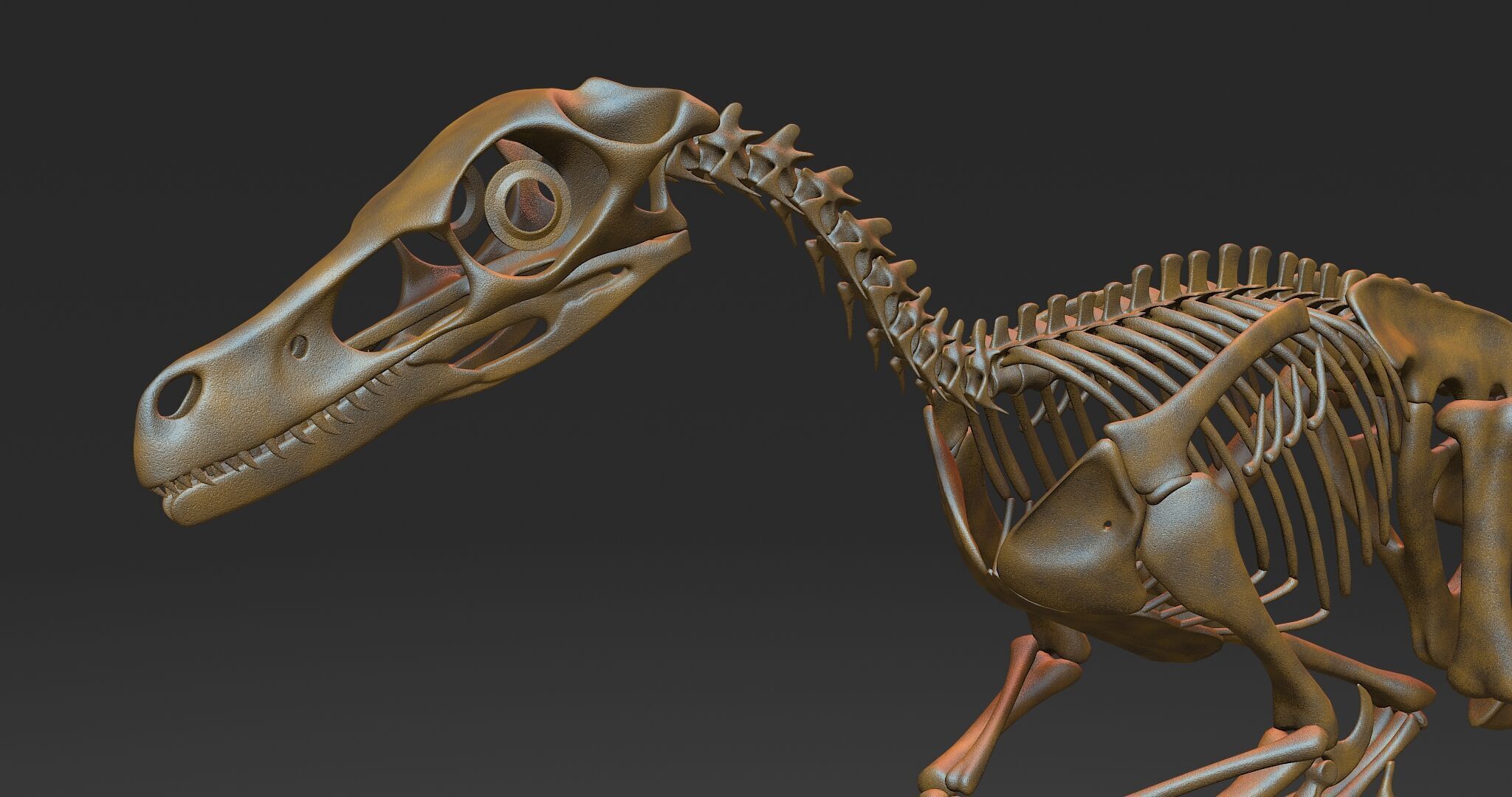 20 in1 Dino skeleton Collection model 3D model_66