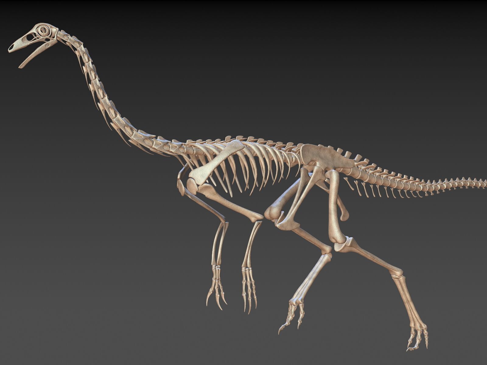 20 in1 Dino skeleton Collection model 3D model_1
