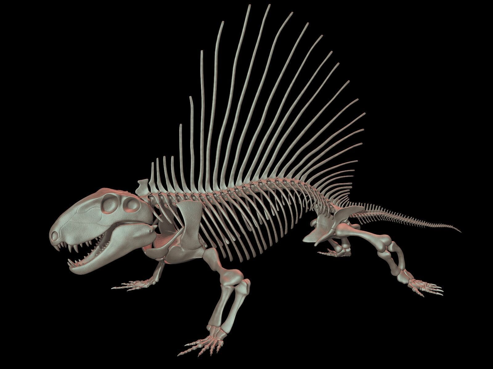 20 in1 Dino skeleton Collection model 3D model_31