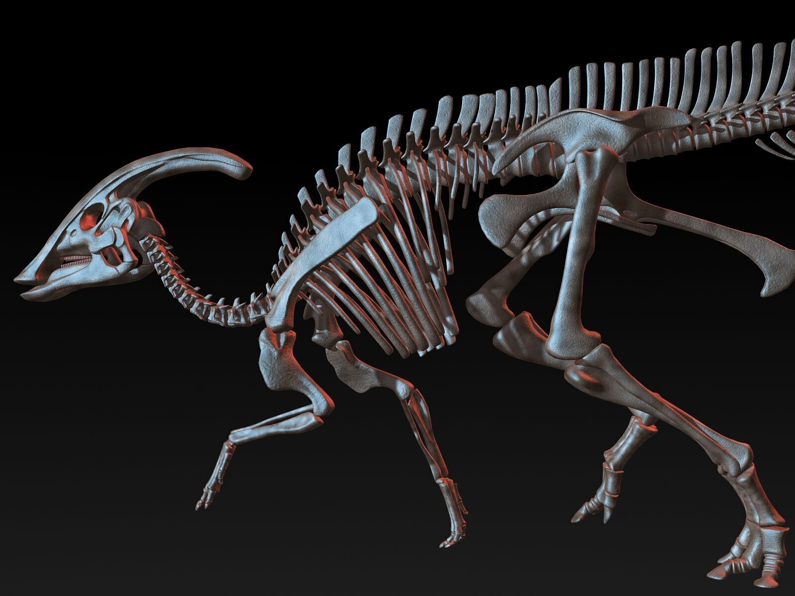 20 in1 Dino skeleton Collection model 3D model_103