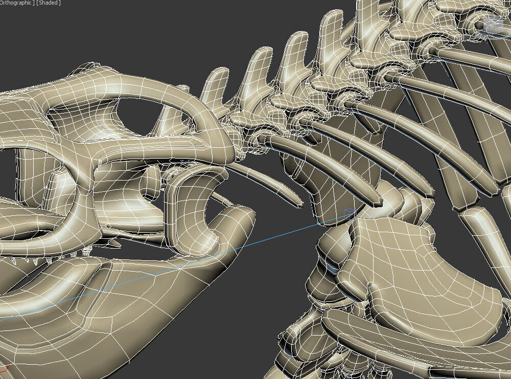 20 in1 Dino skeleton Collection model 3D model_28
