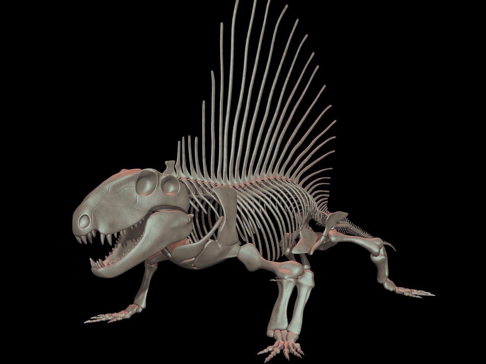 20 in1 Dino skeleton Collection model 3D model_35