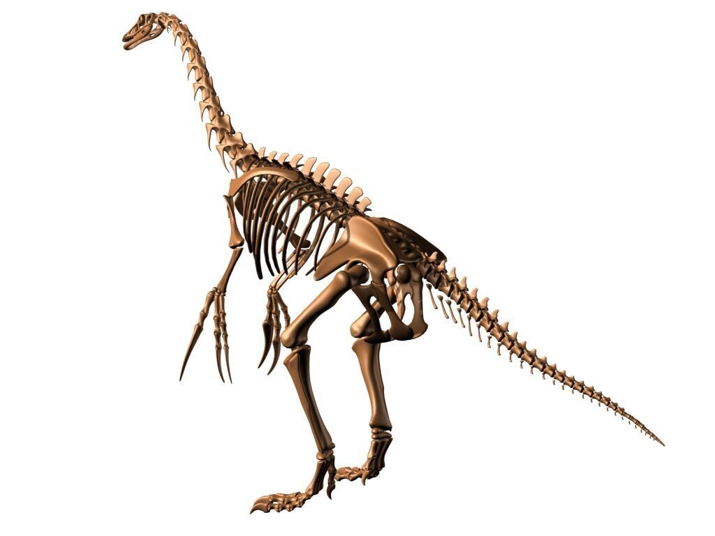 20 in1 Dino skeleton Collection model 3D model_10