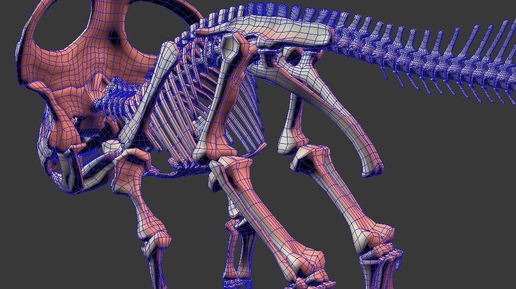 20 in1 Dino skeleton Collection model 3D model_140