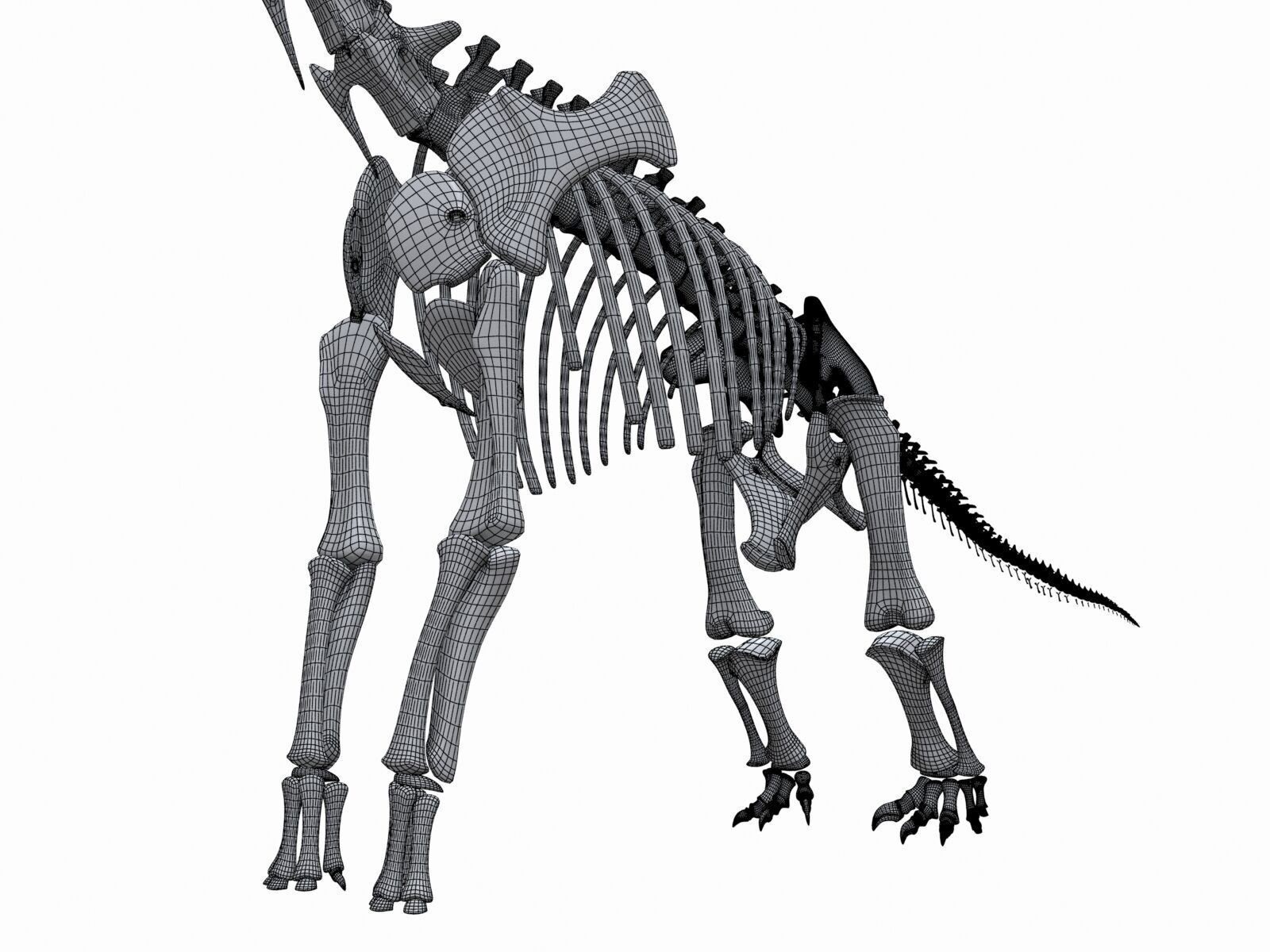 20 in1 Dino skeleton Collection model 3D model_40