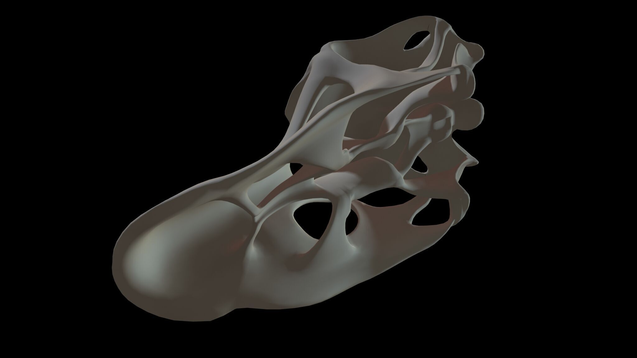 20 in1 Dino skeleton Collection model 3D model_128