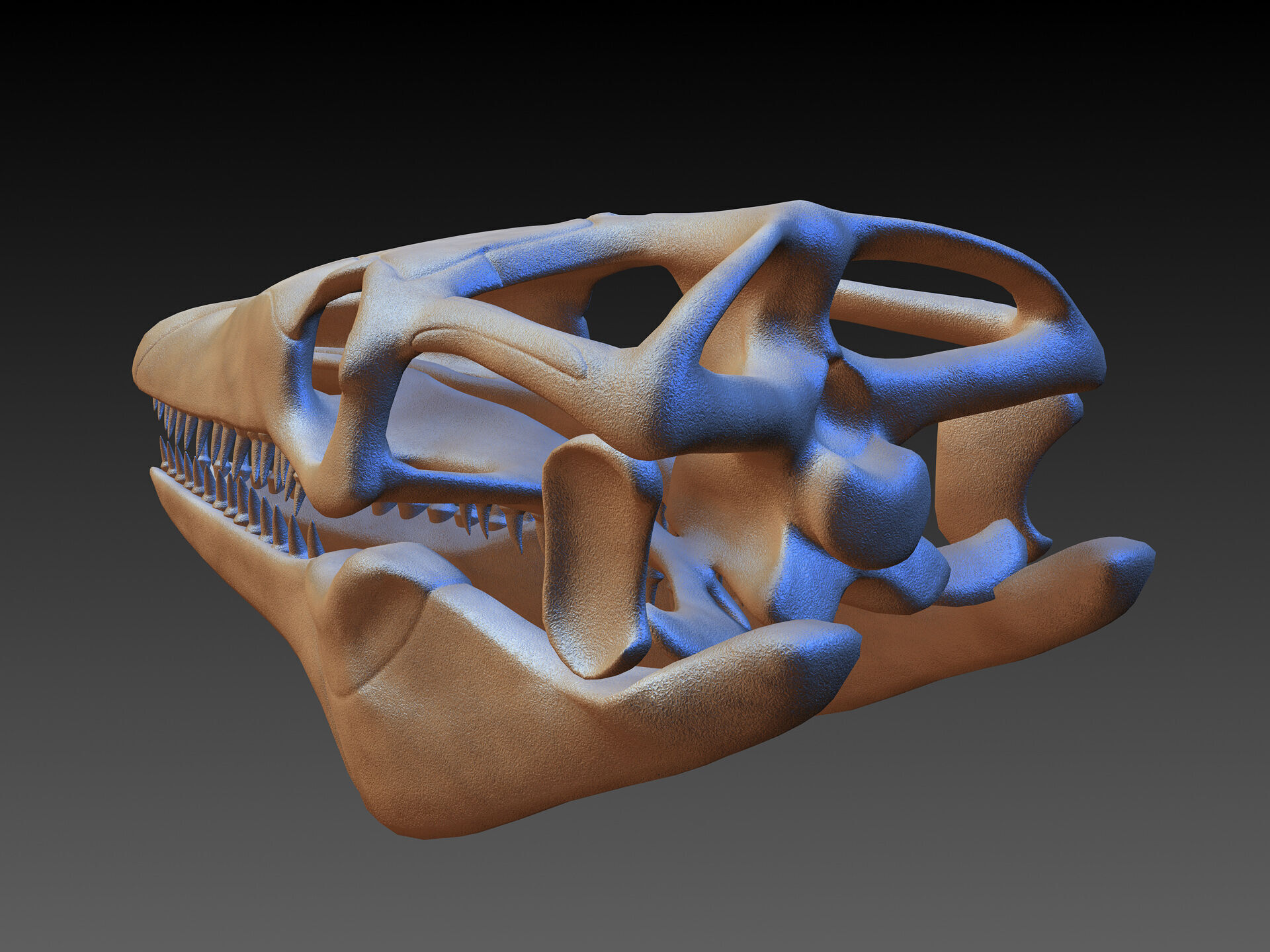 20 in1 Dino skeleton Collection model 3D model_25