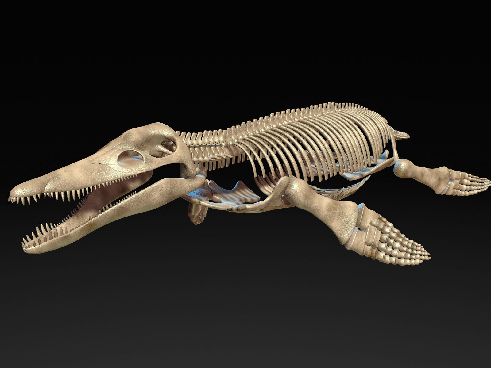 20 in1 Dino skeleton Collection model 3D model_143