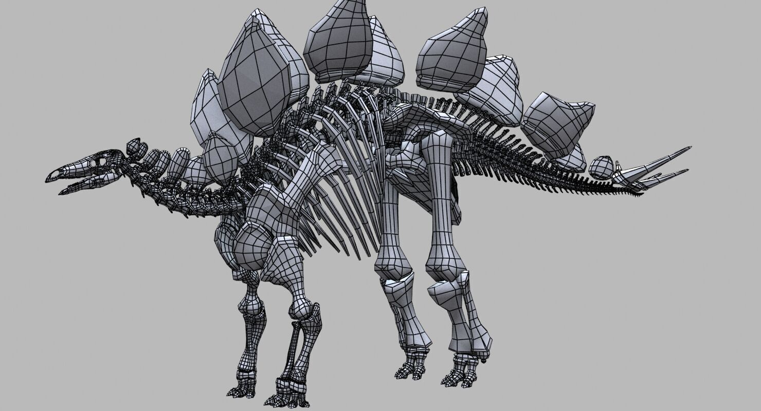 20 in1 Dino skeleton Collection model 3D model_15