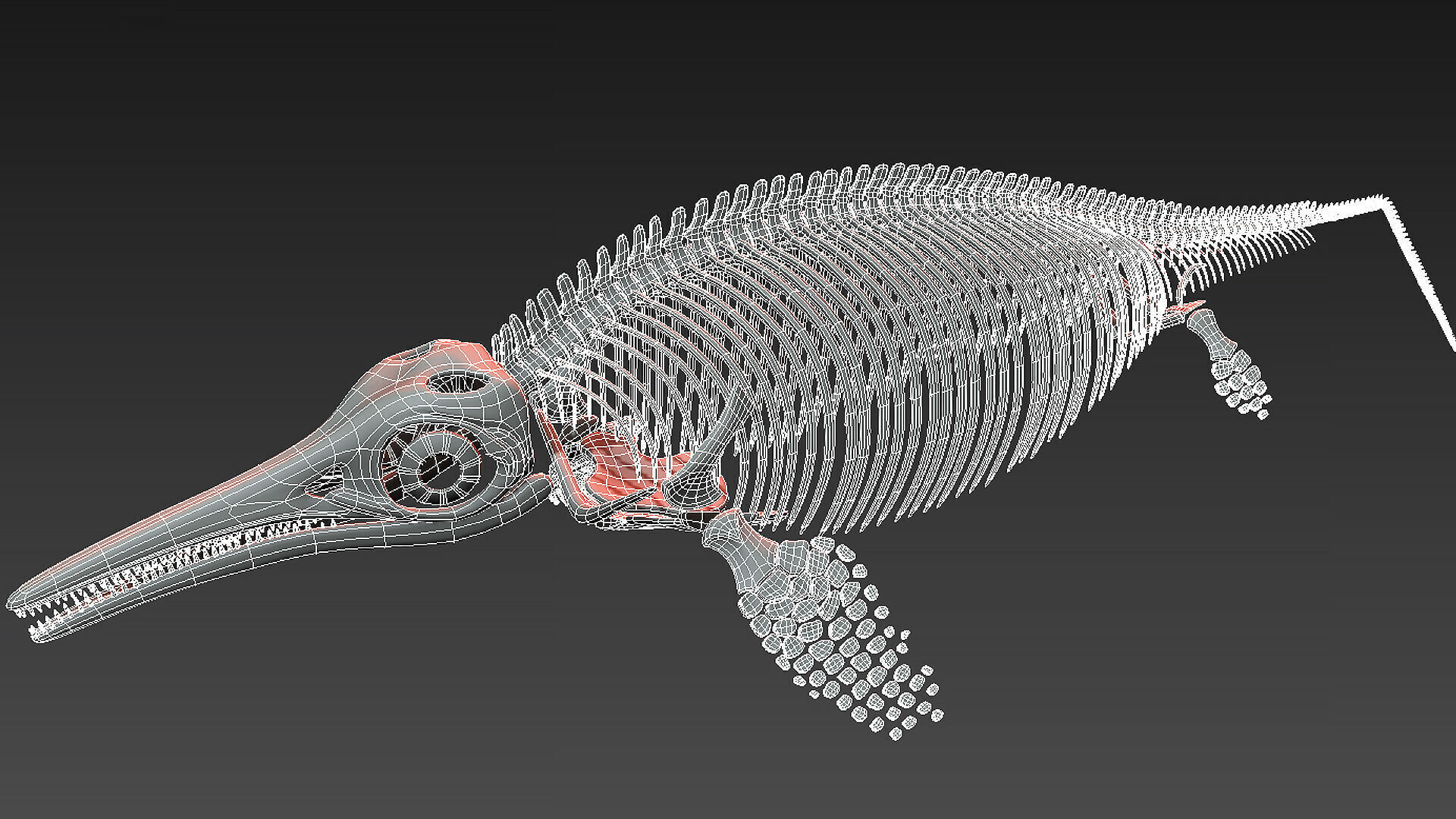 20 in1 Dino skeleton Collection model 3D model_80