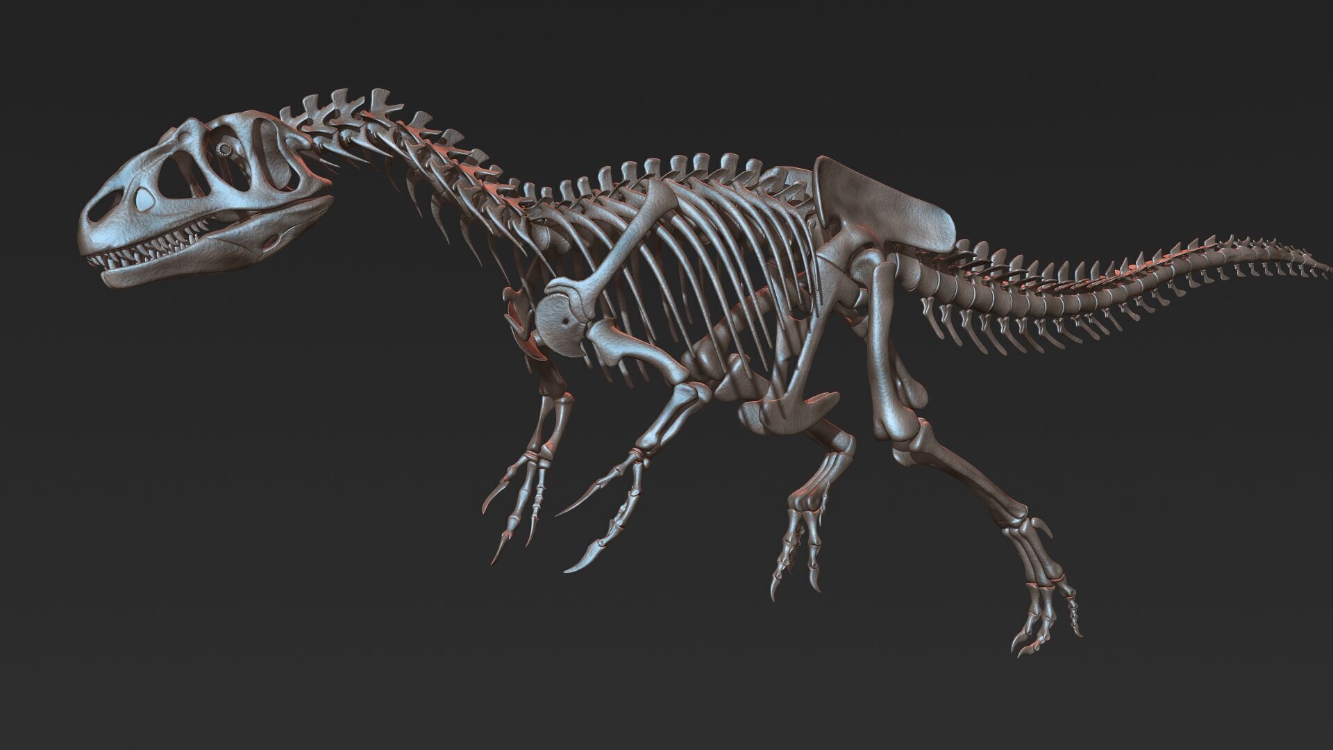20 in1 Dino skeleton Collection model 3D model_110