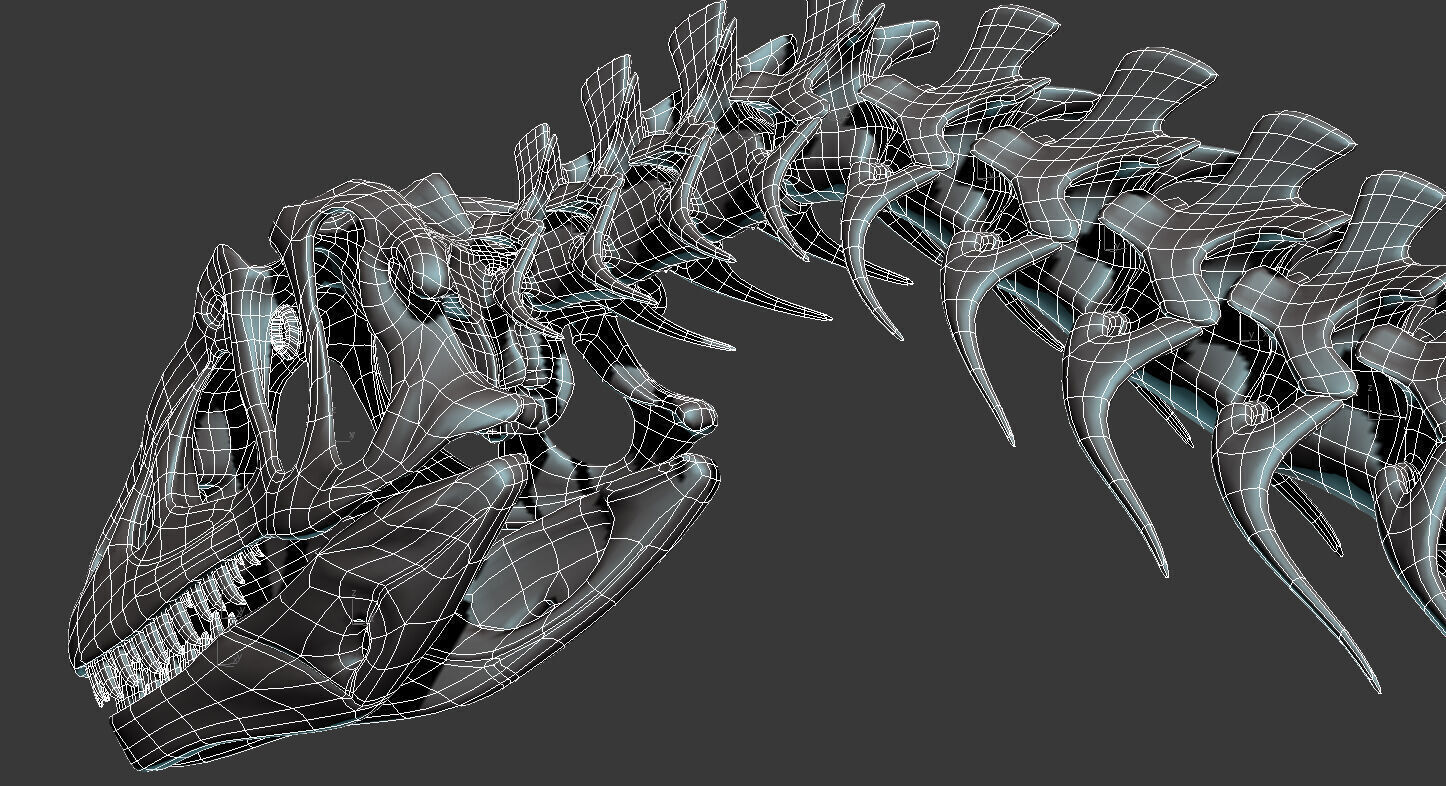 20 in1 Dino skeleton Collection model 3D model_113