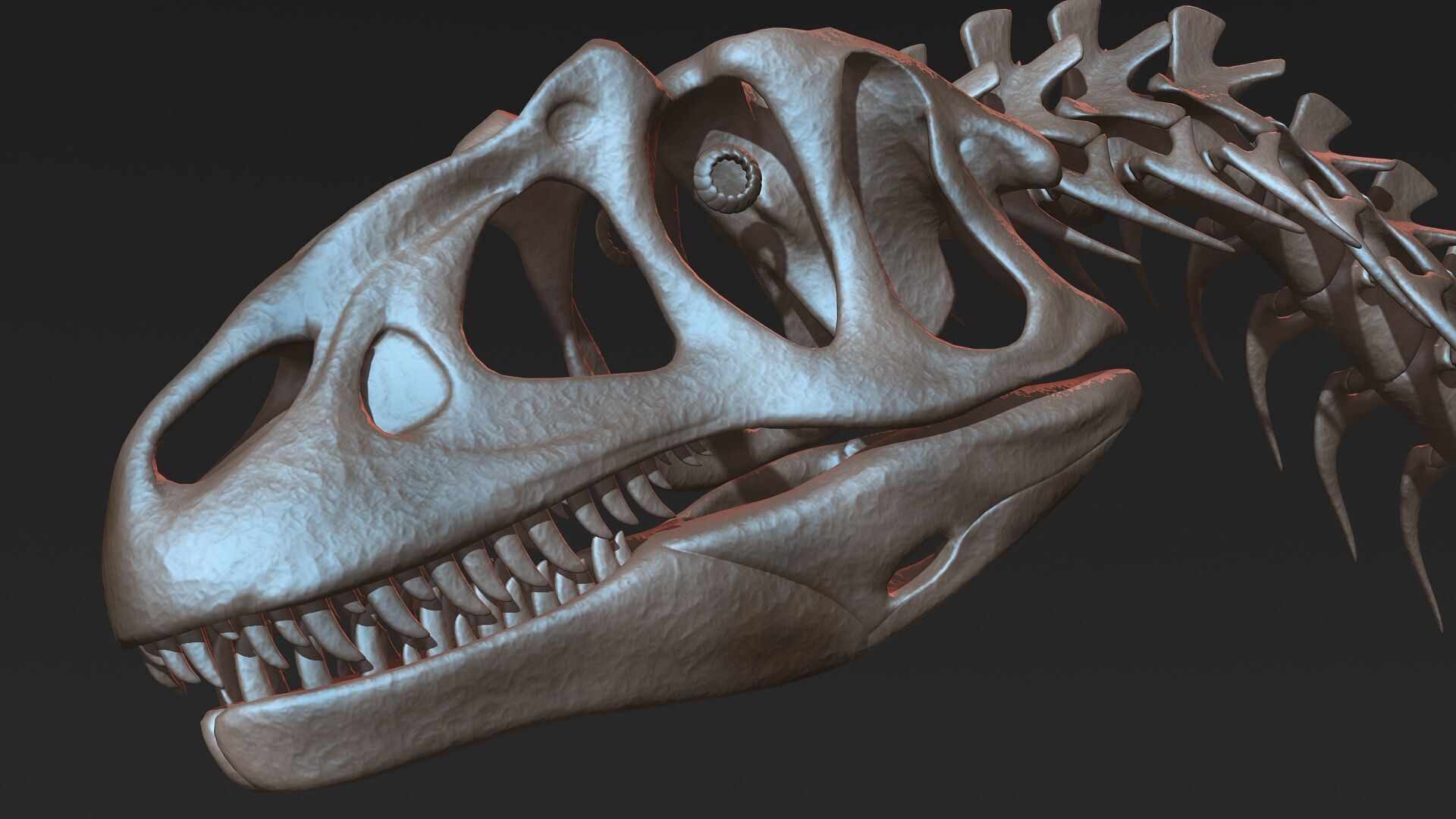 20 in1 Dino skeleton Collection model 3D model_108