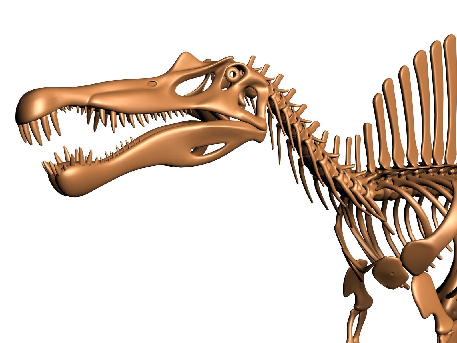 20 in1 Dino skeleton Collection model 3D model_51