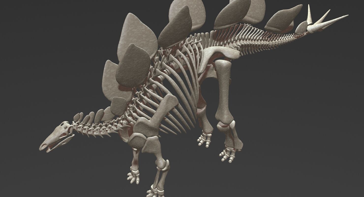 20 in1 Dino skeleton Collection model 3D model_12