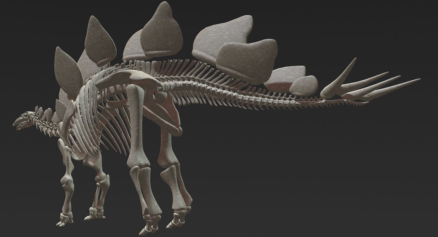 20 in1 Dino skeleton Collection model 3D model_16