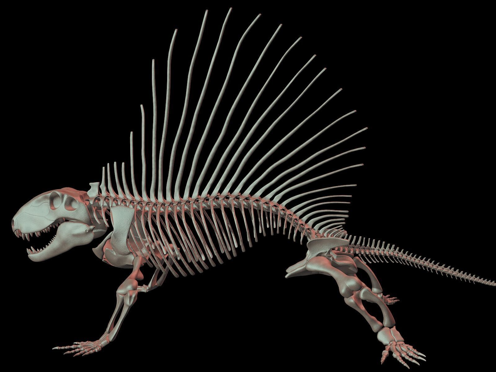 20 in1 Dino skeleton Collection model 3D model_36