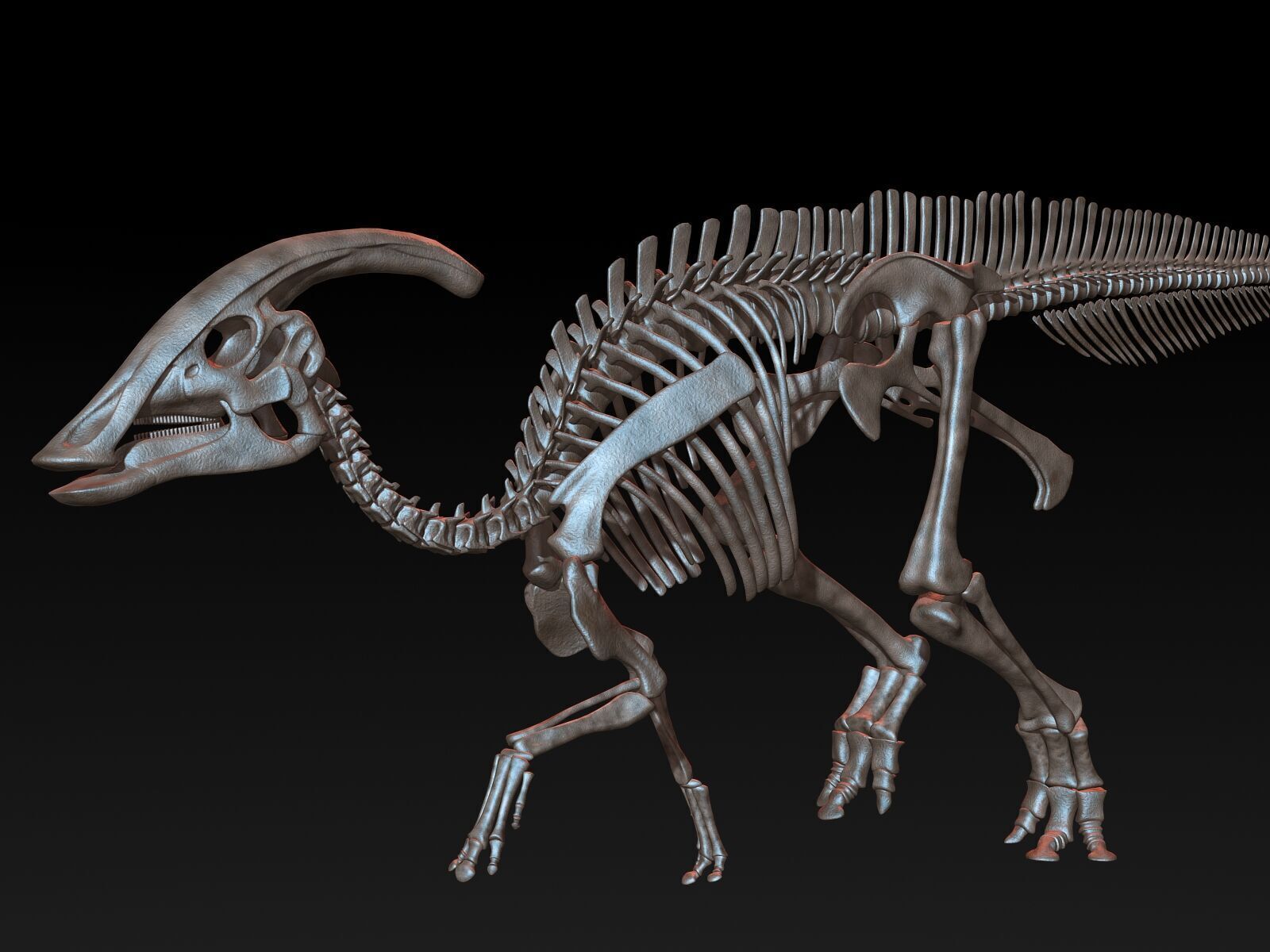 20 in1 Dino skeleton Collection model 3D model_101