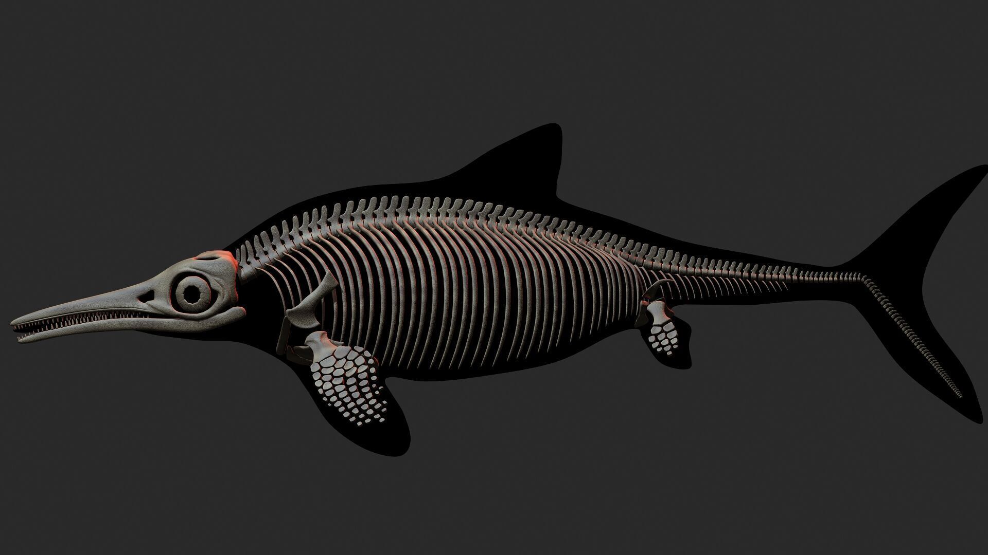 20 in1 Dino skeleton Collection model 3D model_77