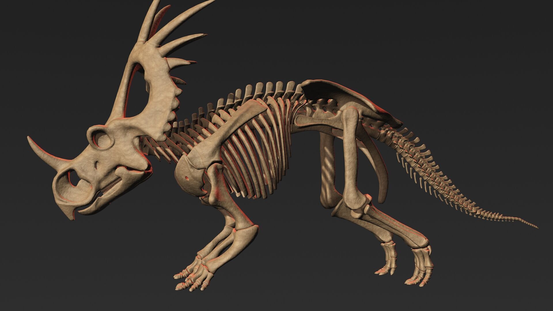 20 in1 Dino skeleton Collection model 3D model_122