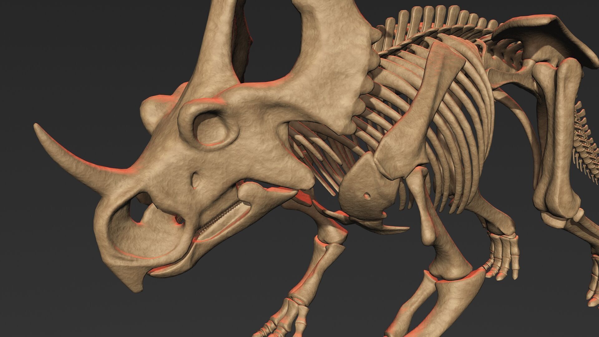20 in1 Dino skeleton Collection model 3D model_117