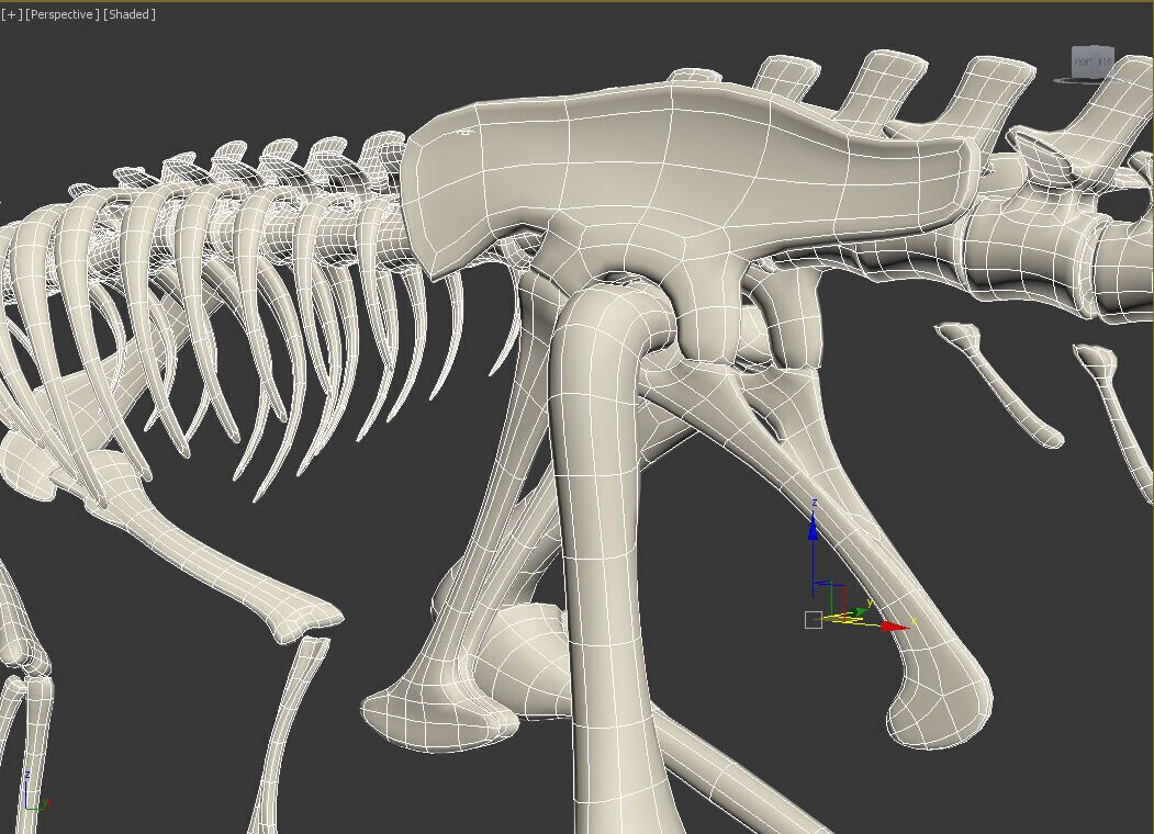 20 in1 Dino skeleton Collection model 3D model_6