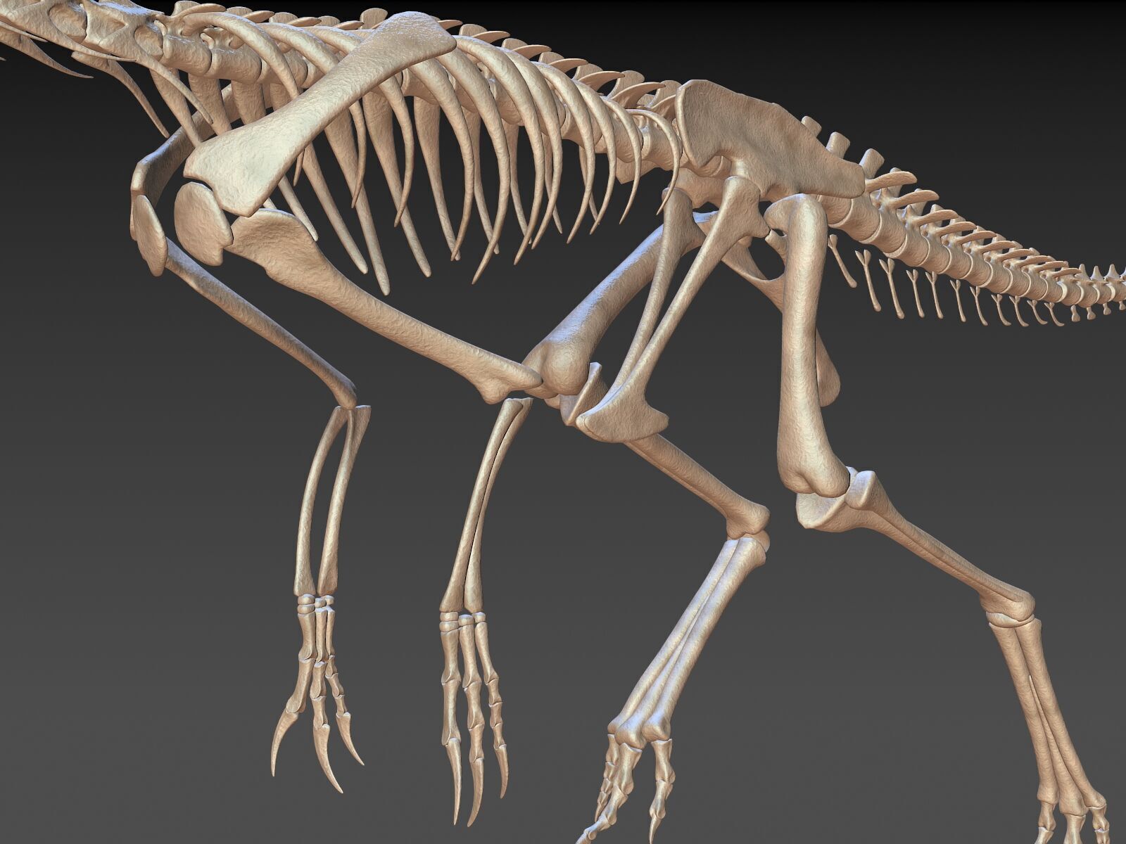 20 in1 Dino skeleton Collection model 3D model_3