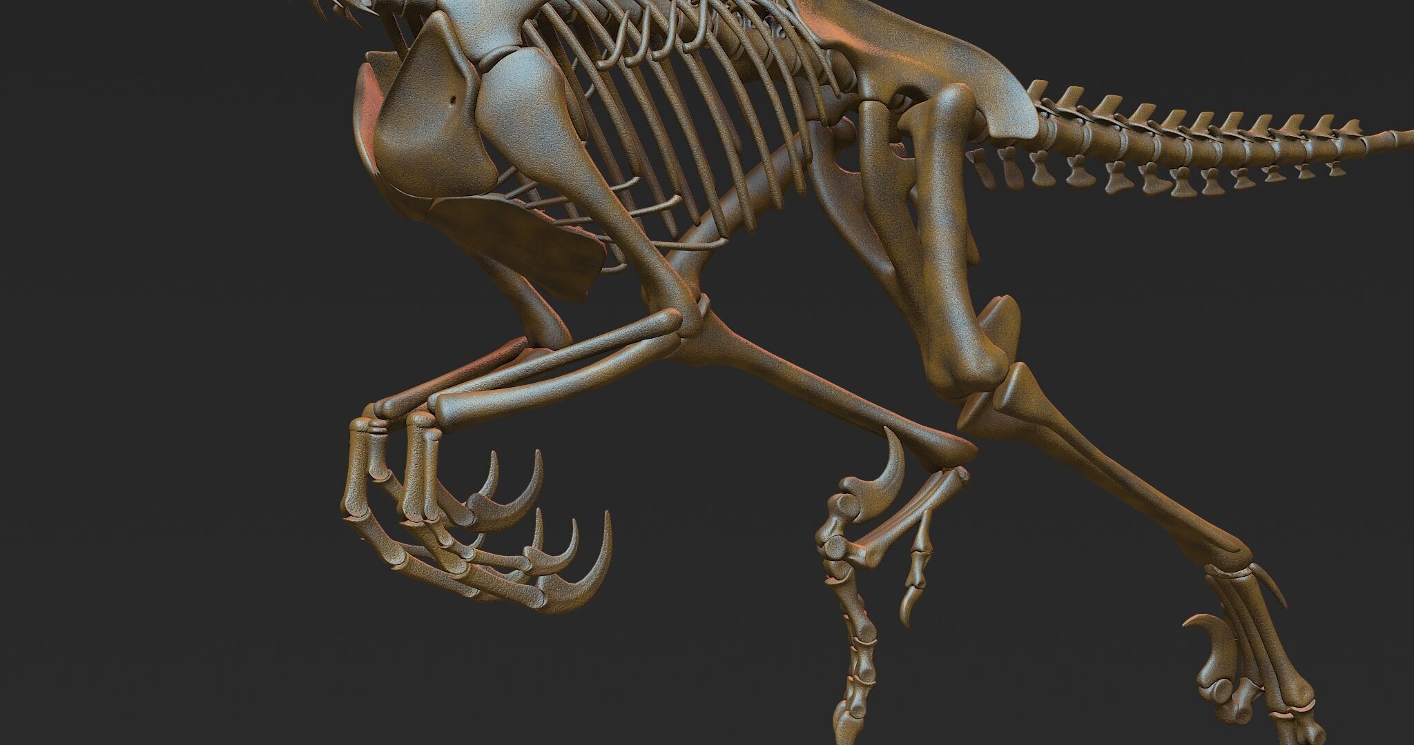 20 in1 Dino skeleton Collection model 3D model_68