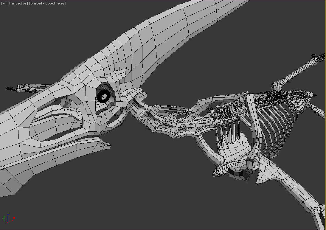 20 in1 Dino skeleton Collection model 3D model_90