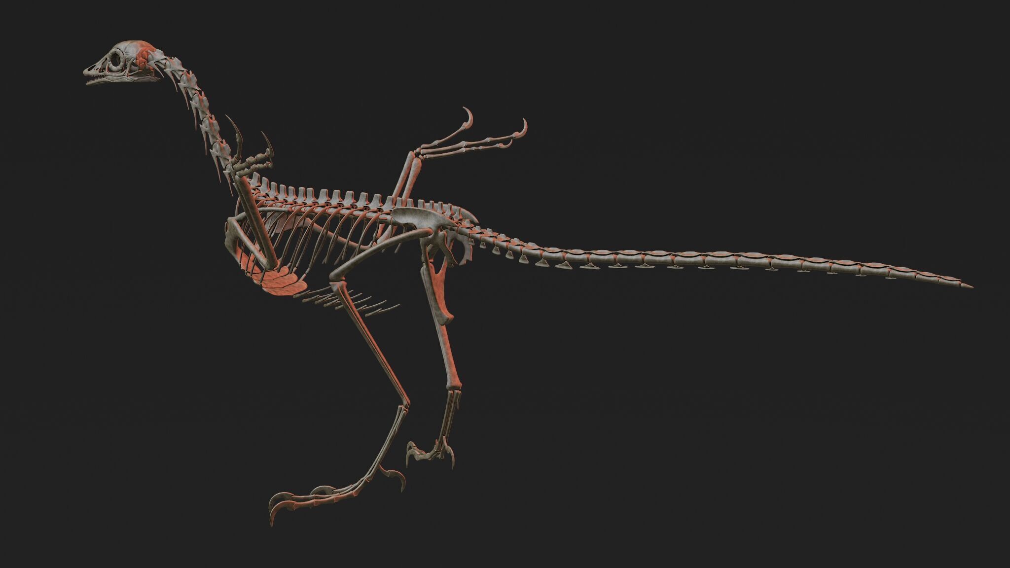 20 in1 Dino skeleton Collection model 3D model_59